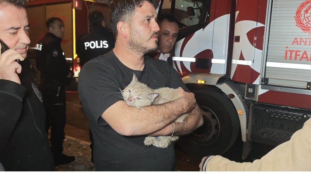 Korkutan yangında mahsur kalan kediyi itfaiye kurtardı