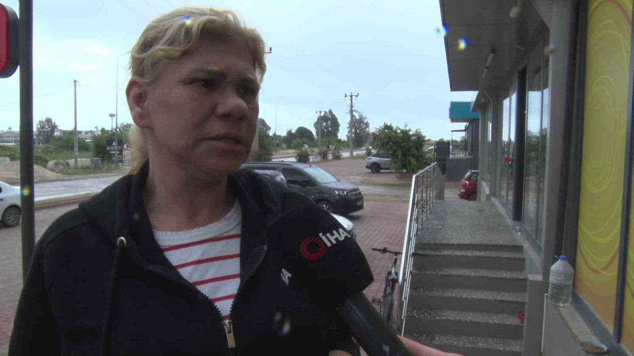 Antalya’da yabancı uyruklu şahıs kedinin üzerine bastı, köpeği tekmeledi