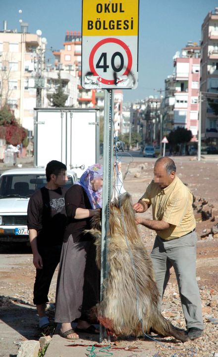 Sokakta kurban kesip, atıklarını gömenlere 29 bin 529 lira ceza