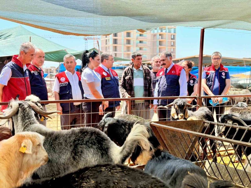 Mersin’de Kurban Bayramı öncesi satış noktalarında sıkı denetim