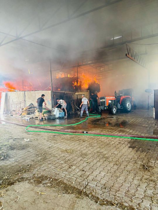 Besi çiftliğinde yangın