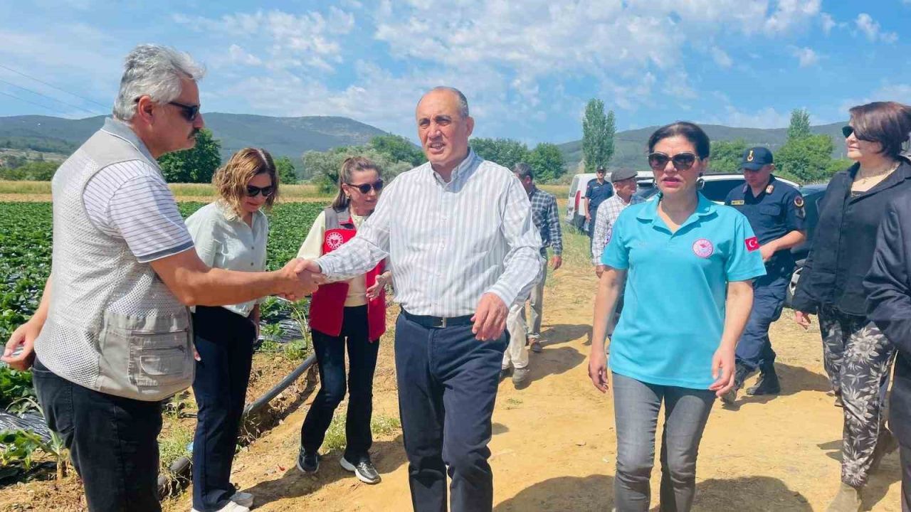 Yatağan’da ’Gençlik Yılı’ kapsamında çilek hasadı yapıldı