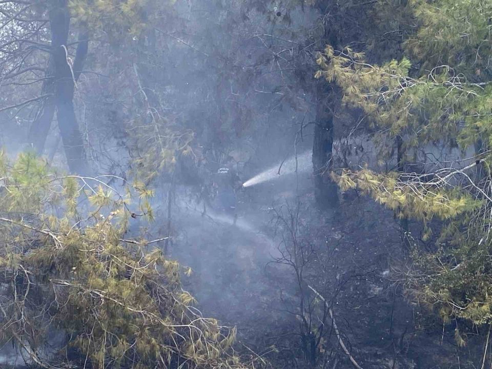 Antalya’da ormanlık alandaki yangın büyümeden söndürüldü