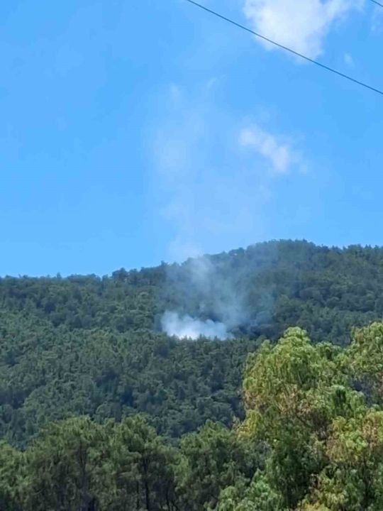 Muğla’da yıldırım kaynaklı 2 orman yangını