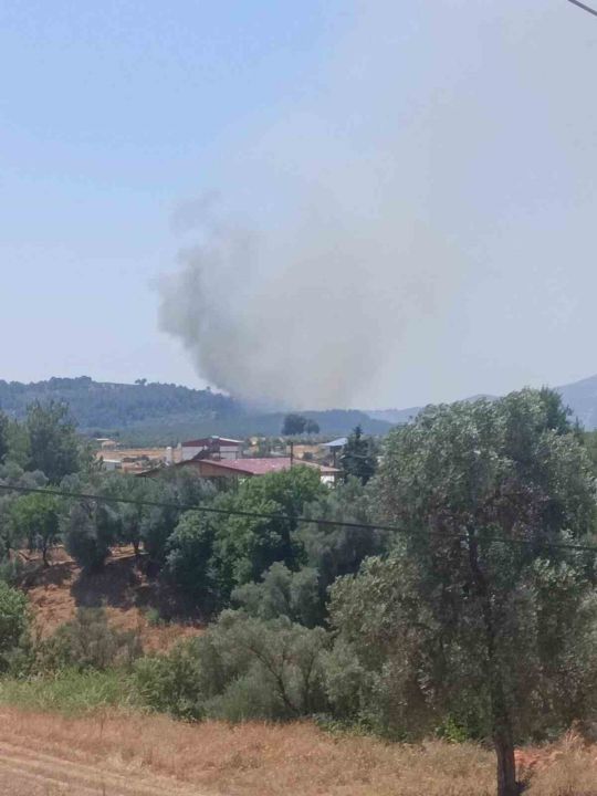 Seydikemer’de orman yangını