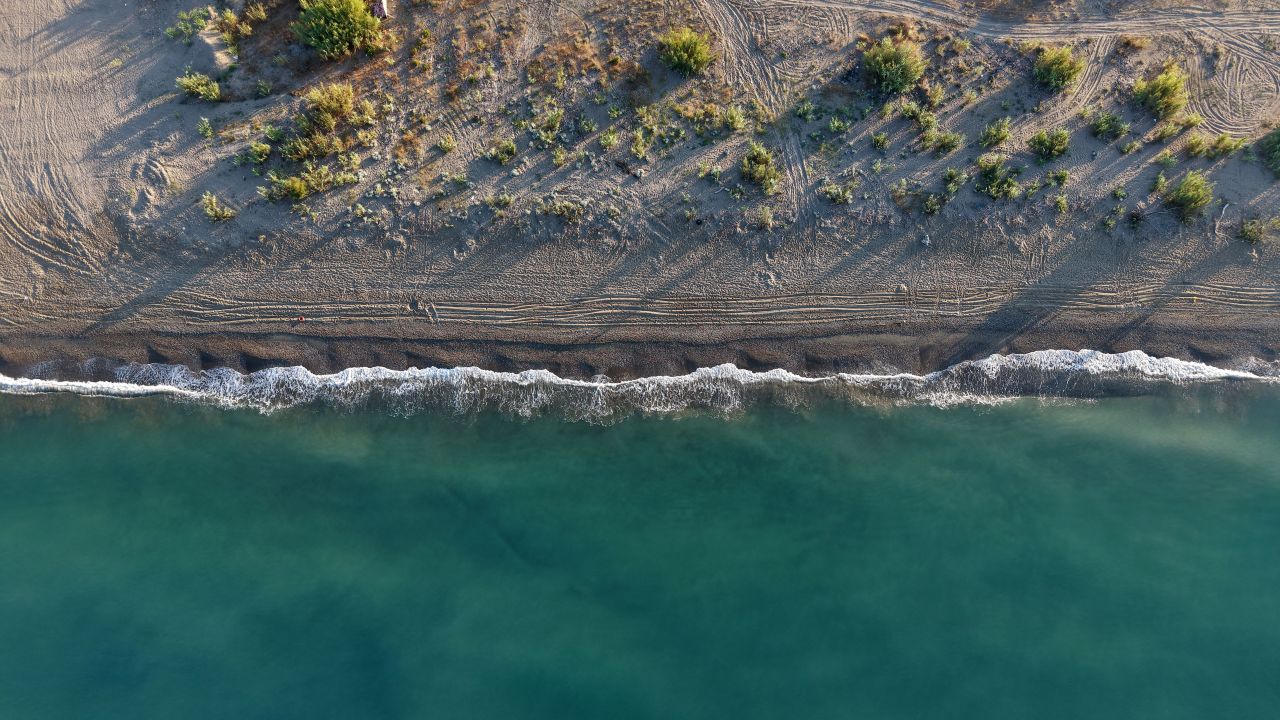 Caretta yuvası 21 sahile araçla girmenin, ateş yakmanın cezası 699 bin TL