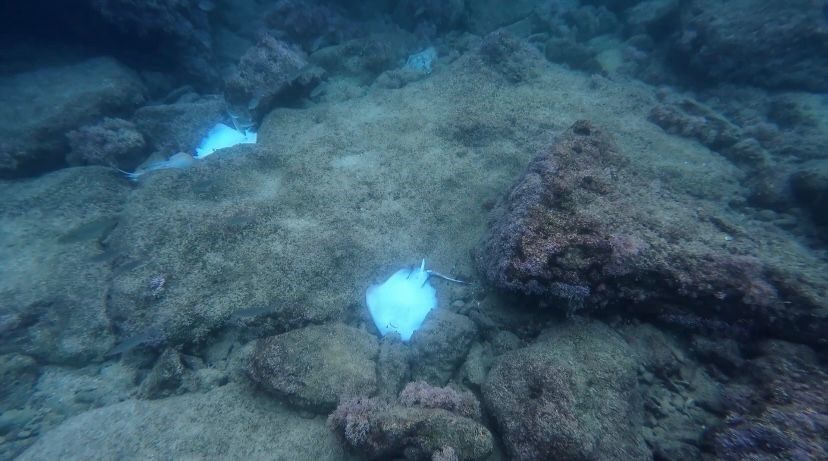 Antalya'da şoke eden görüntü