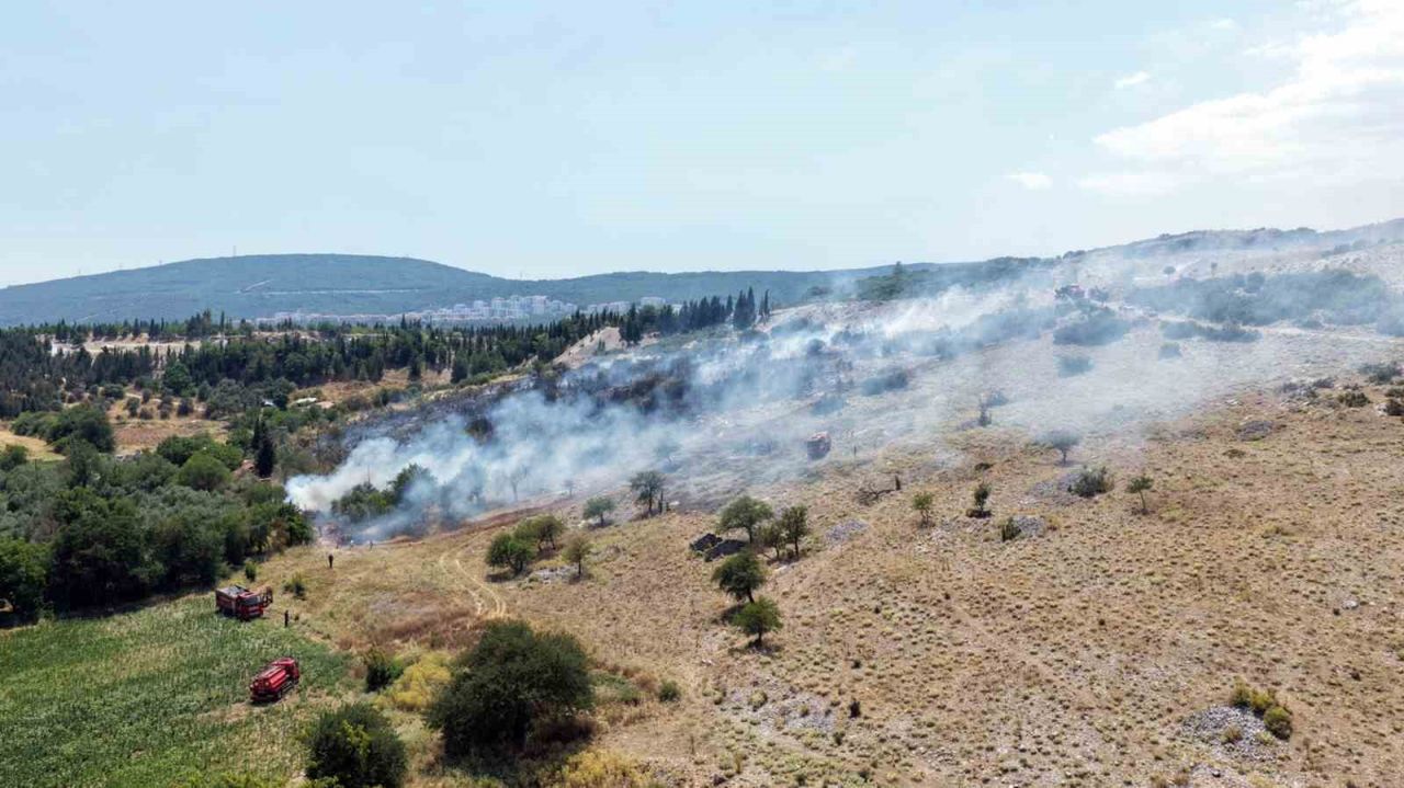 Menteşe’deki makilik yangını kontrol altına alındı