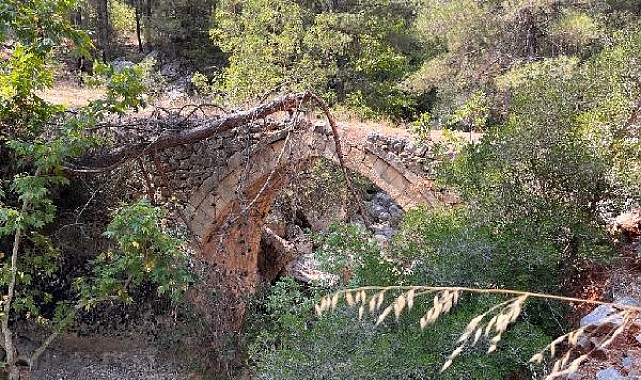 Kaderine terk edilen tarihi köprüye bakanlık sahip çıktı