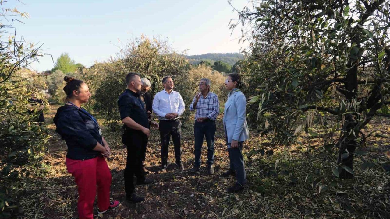 Muğla Büyükşehir’den ‘Don’dan zarar gören üreticilere destek
