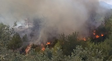 Osmaniye'de ormanlık alanda korkutan yangın
