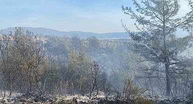 Osmaniye'nin Düziçi ilçesinde çıkan orman yangını söndürüldü