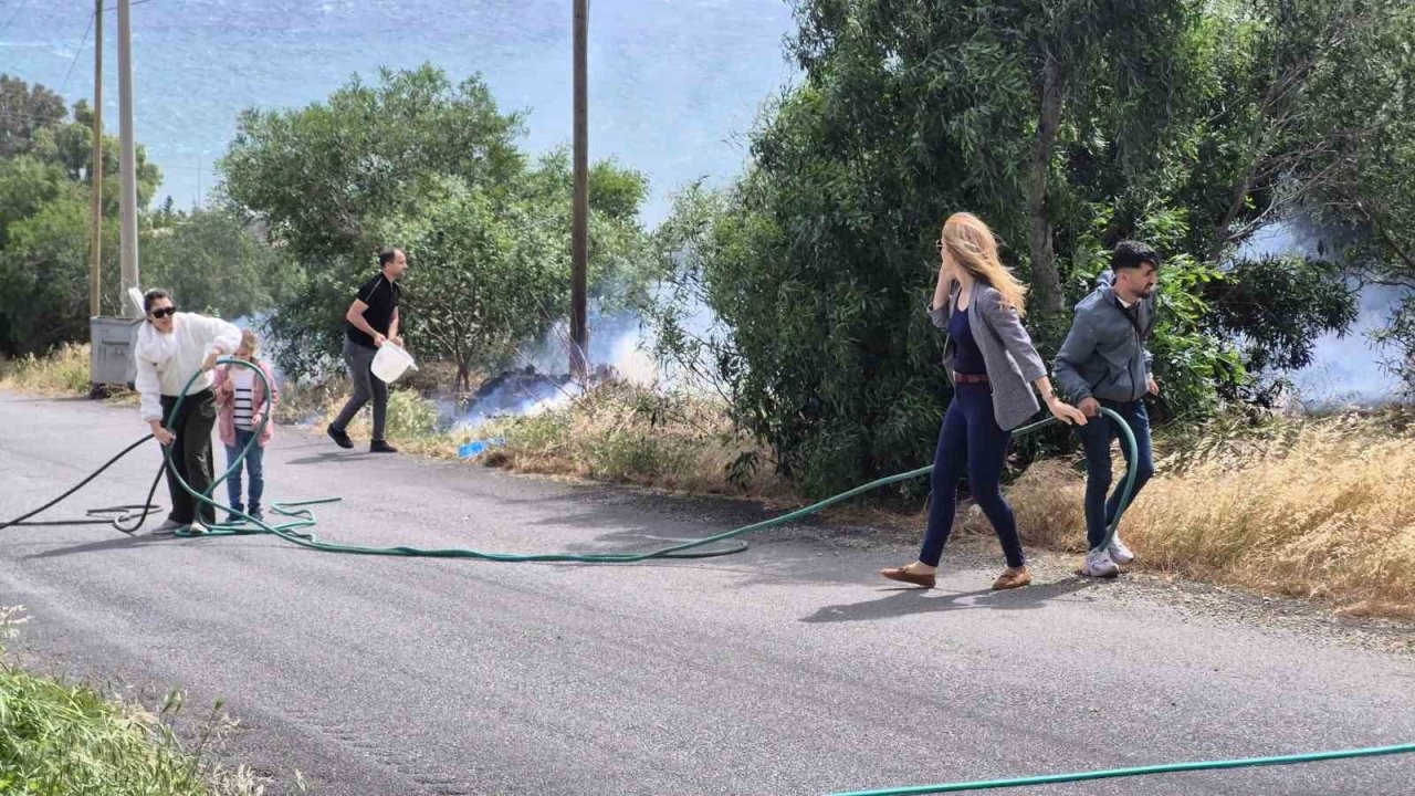 5 hektar alan zarar gördü