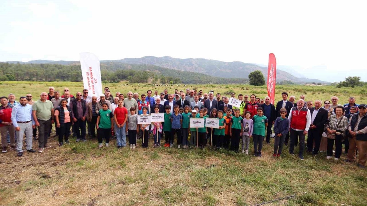 Köyceğiz Döğüşbelen’de 400 dekar meralık alan açıldı