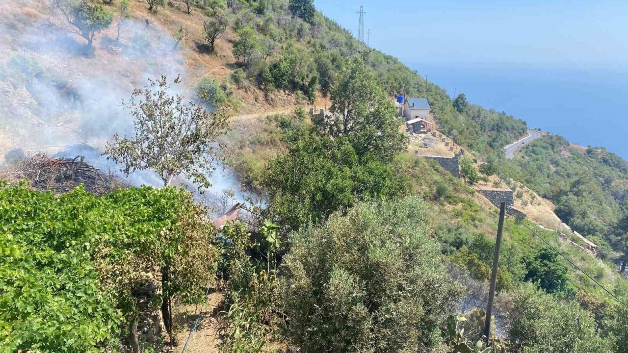 Bahçe yangını büyümeden söndürüldü
