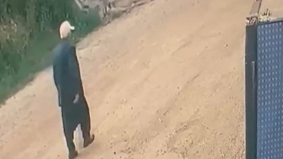 Yayla yolunda kayboldu, gece boyunca devam eden aramalar sürüyor
