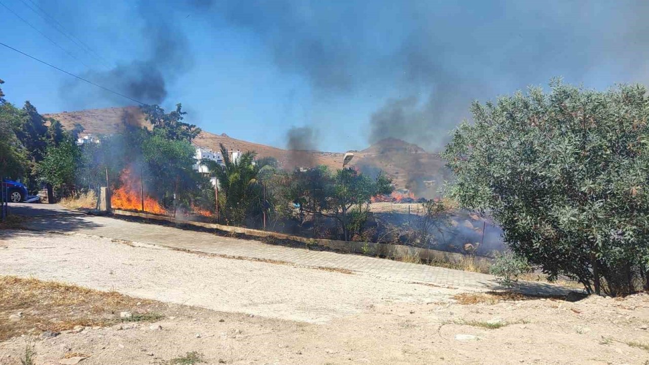Bodrum’da otluk alanda çıkan yangın site sakinlerini korkuttu