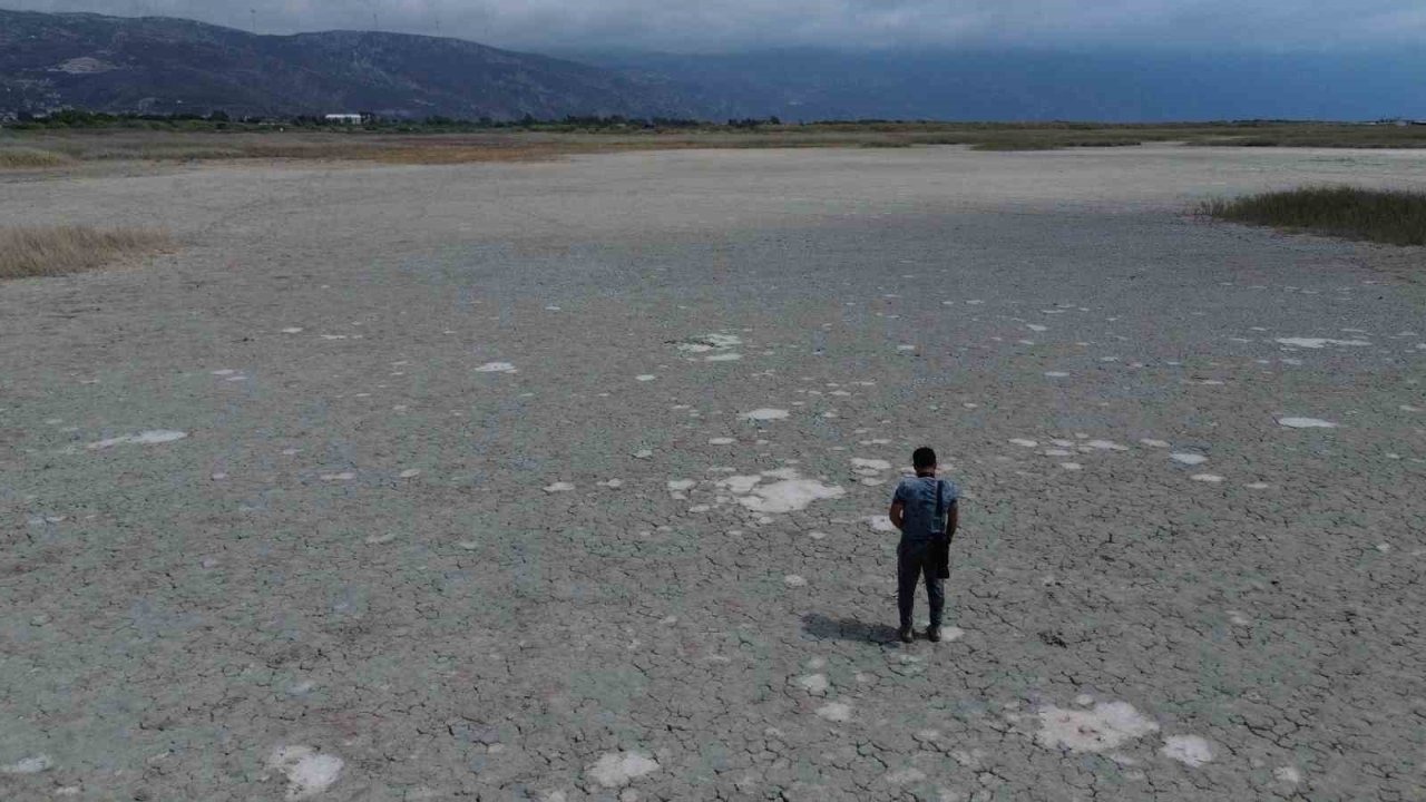 Kuraklığın etkisiyle çöle dönen Milleyha’da kuş gözlemcileri gelecekten ümitli