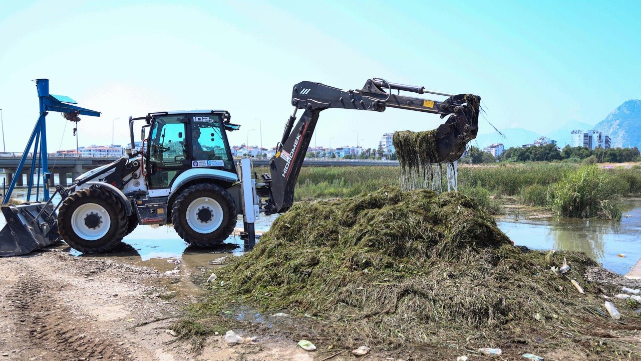 Boğaçayı'nda her gün 6 ile 8 ton arası sucul ot toplanıyor