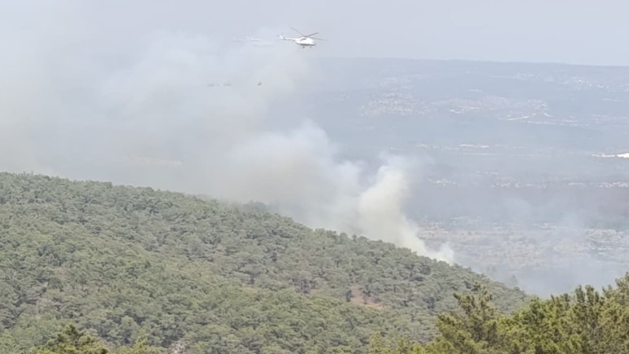 Mersin’de kaynak yaparken orman yangınına neden olan firma sahibi ile 4 kişi tutuklandı