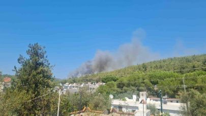 Bodrum’da orman yangını başladı
