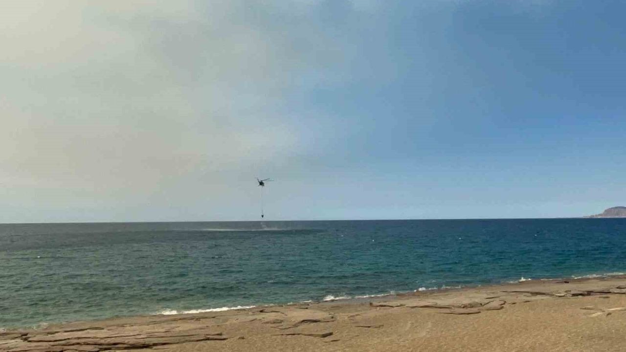 Alanya’da ormanlık alanda yangın