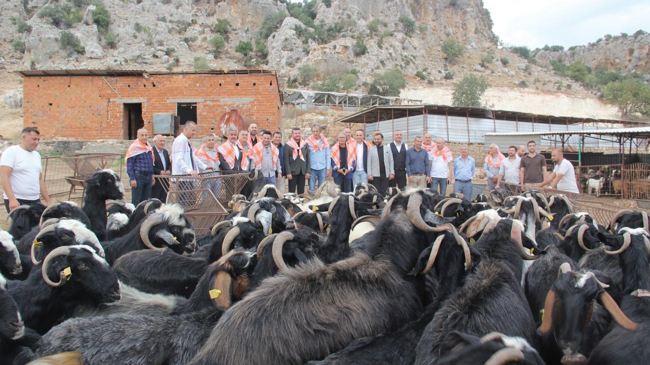 İş dünyasının temsilcileri Antalya'da "Honam Keçisi"ni konuştu