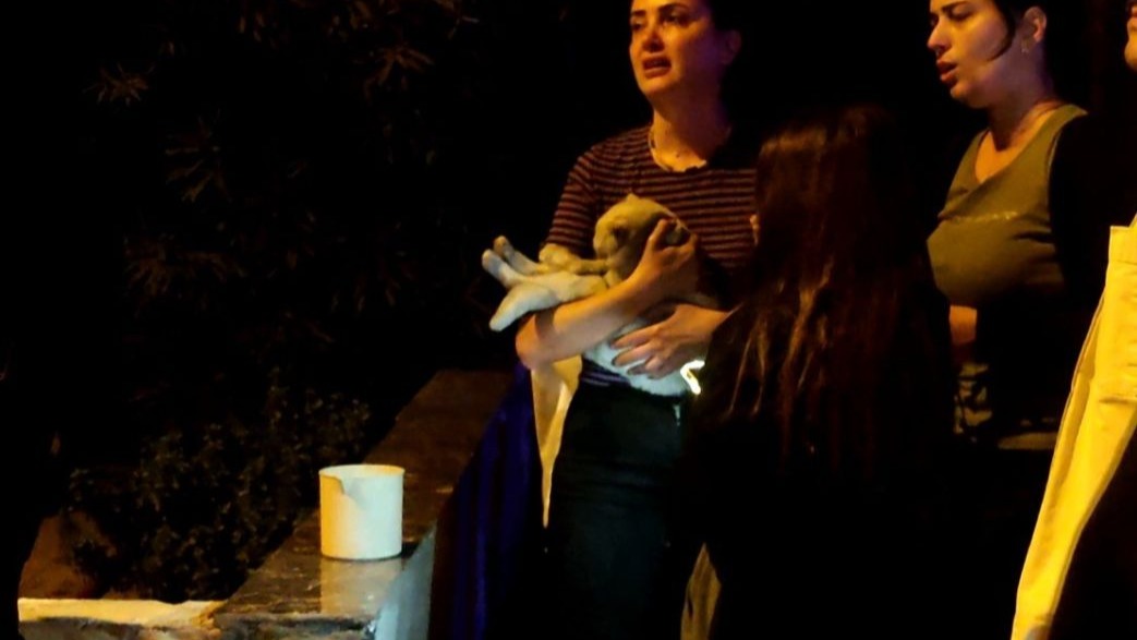 Antalya'da çıkan yangında 2 kedi hayatını kaybetti, sahipleri gözyaşlarına boğuldu