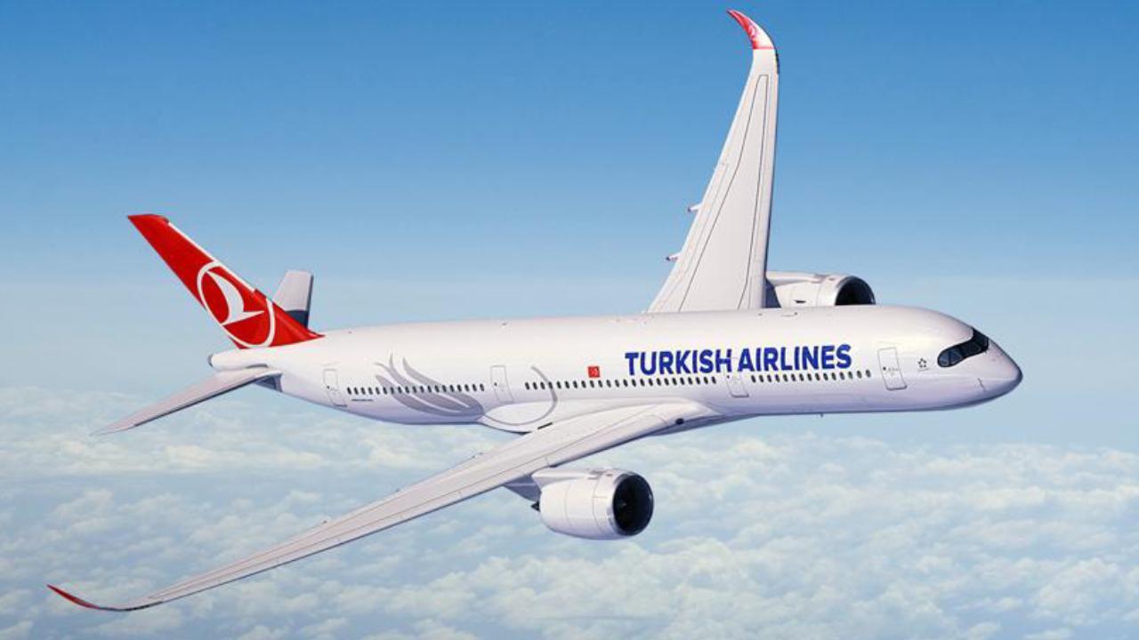 Bir yolcu THY uçağında doğum yaptı!