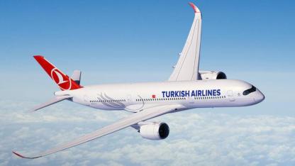 Bir yolcu THY uçağında doğum yaptı!