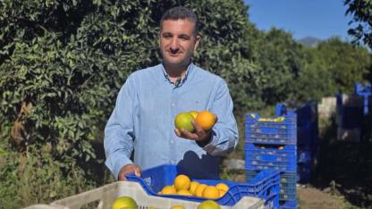 Finike Portakalında rekolte zirvede! Türkiye genelinde düşüş
