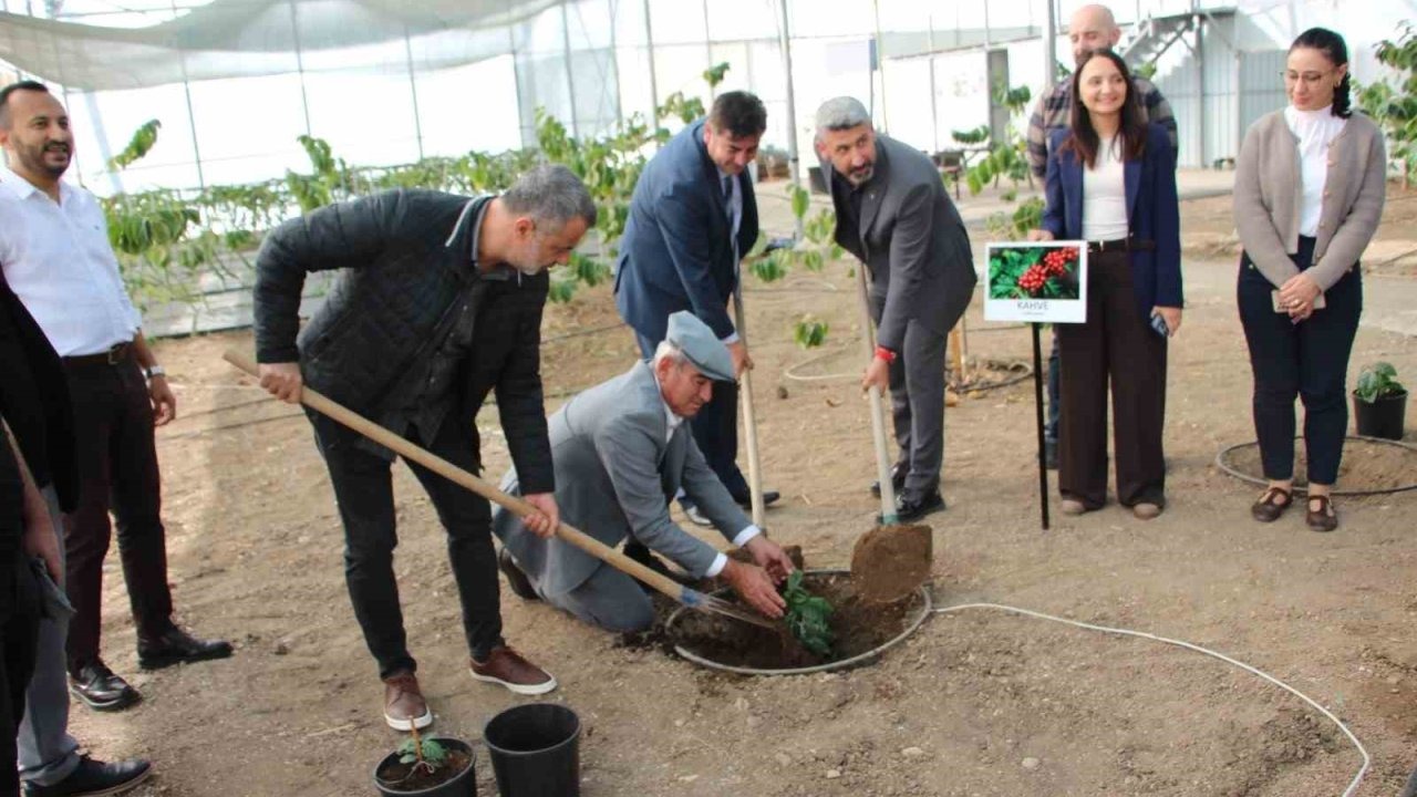 Kahve sadece adıyla değil üretimiyle de Türk olacak