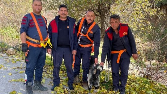 Kayalıklarda mahsur kalan keçi kurtarıldı