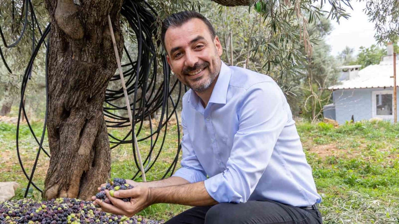 Manavgat’ta Zeytin ve Zeytinyağı Festivali’nin ikincisi başlıyor