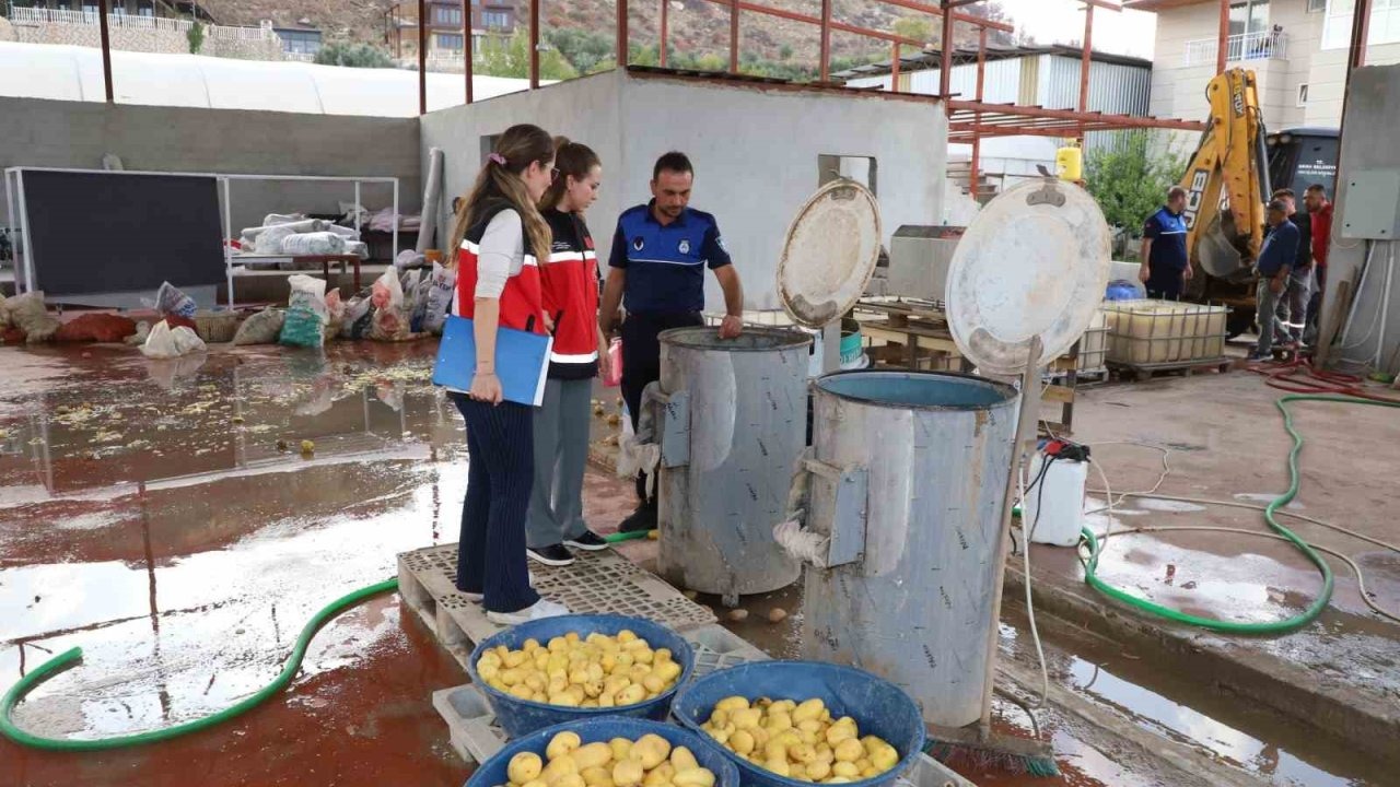 Sağlıksız şartlarda patates dilimleyen işletme mühürlendi