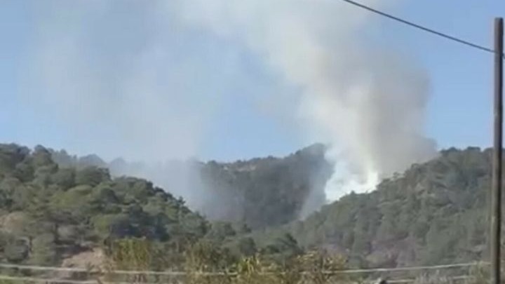 Seydikemer'de orman yangını