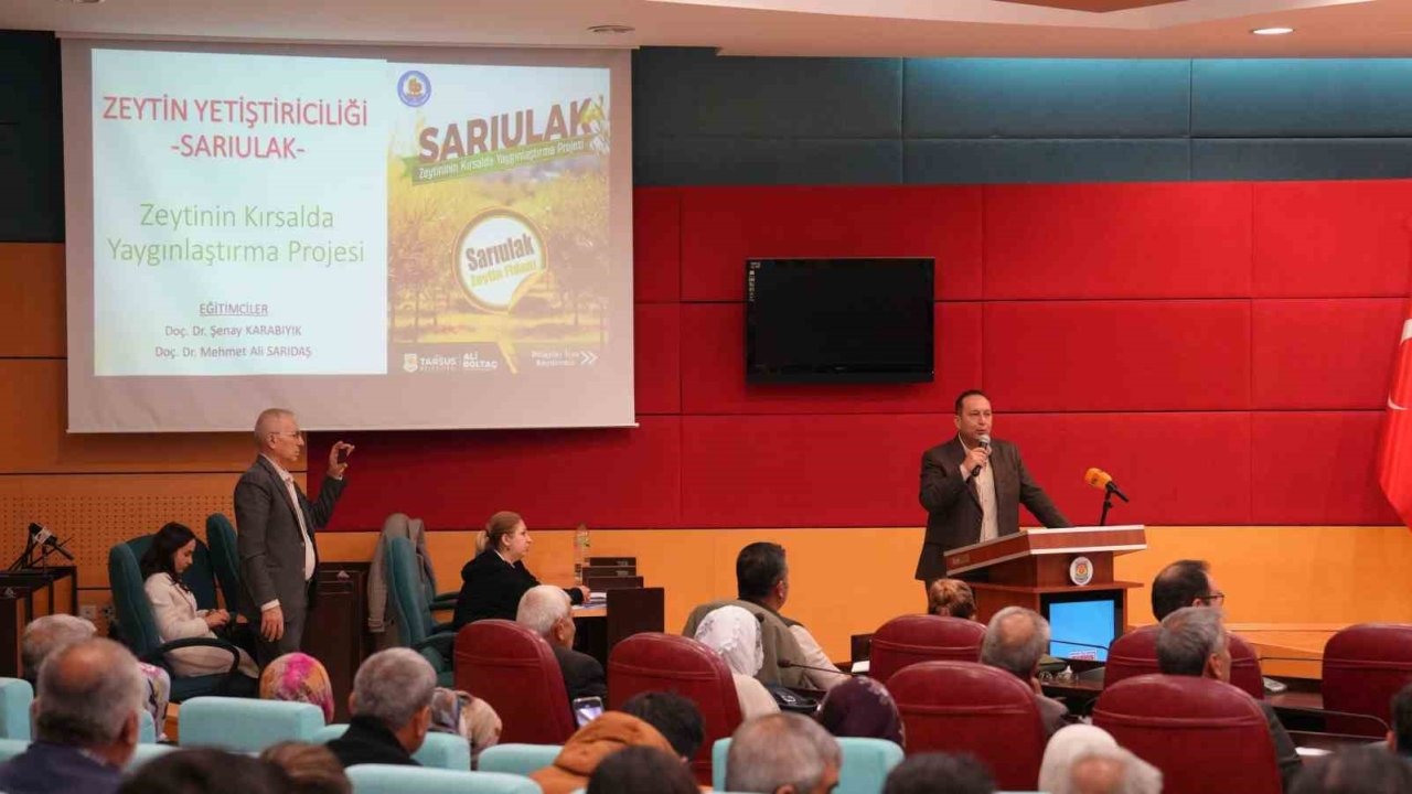 Tarsus’ta Sarıulak zeytini için üreticilere eğitim verildi