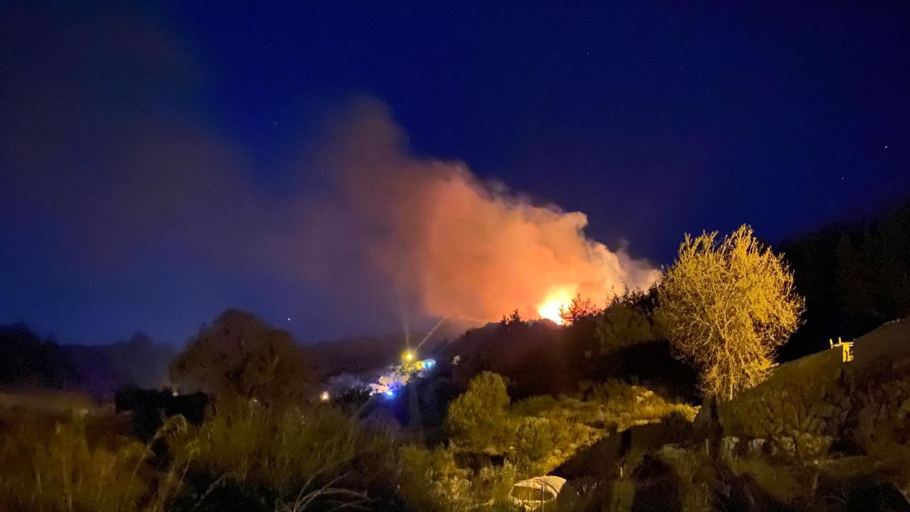 Antalya'da ormanlık alanda yangın çıktı