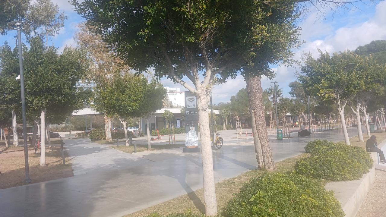 Otomatik Taslak