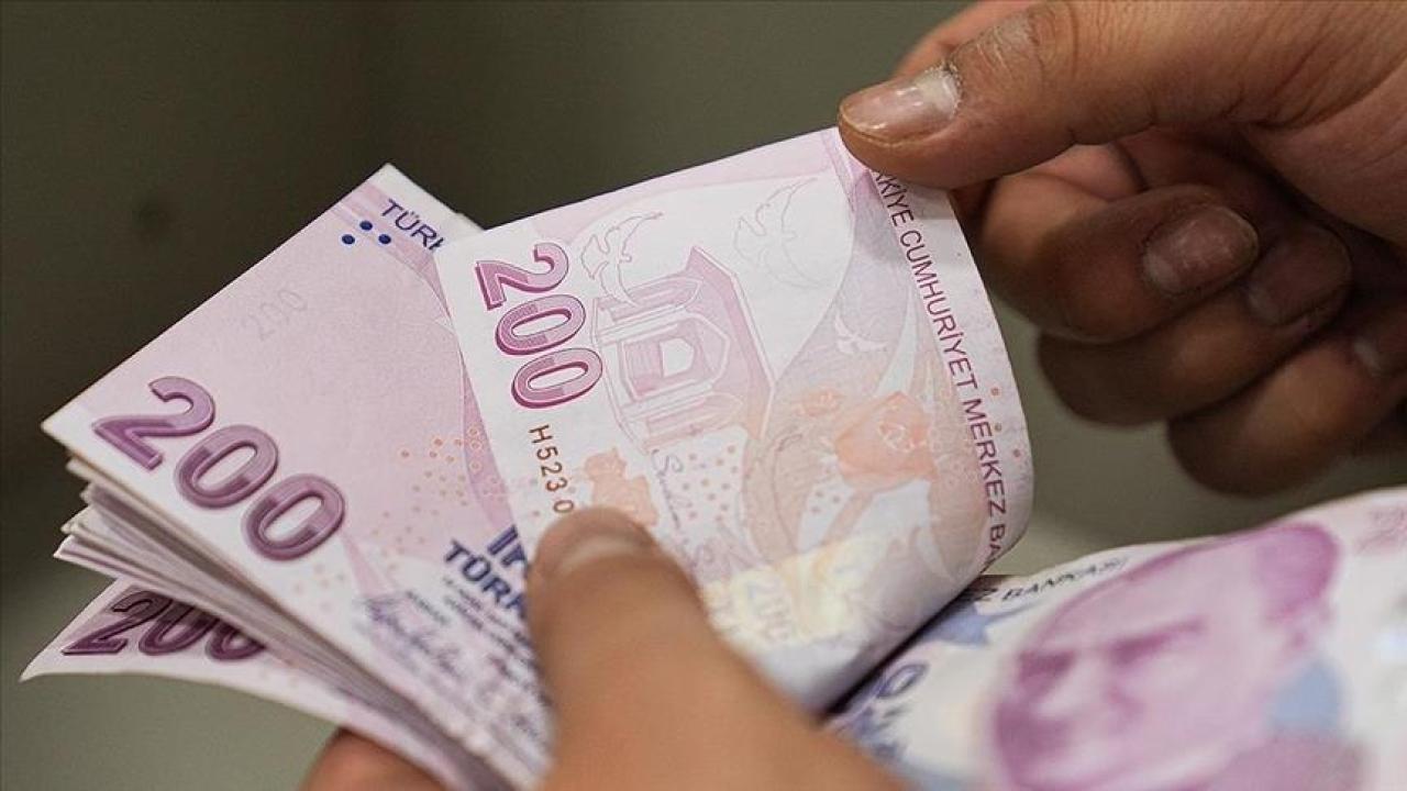 Ocak ayı Sosyal ve Ekonomik Destek ödemeleri hesaplara yatırıldı