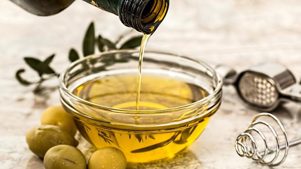 Antalya'da kaliteli zeytin üretiminin yaygınlaştırılması hedefleniyor