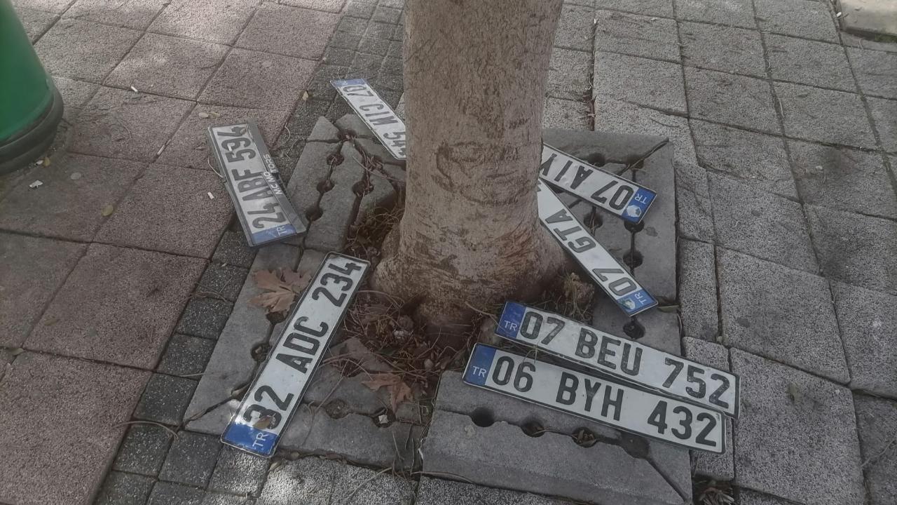 Antalya’da kayıp plakalar ağaç altına yığıldı