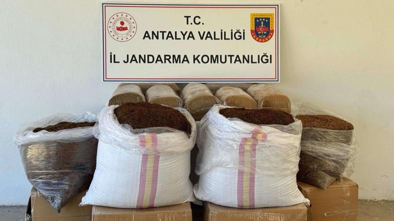 Gazipaşa'da kaçak tütün operasyonu düzenlendi