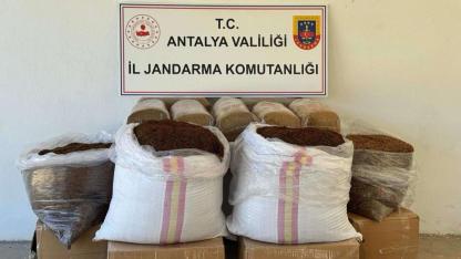 Gazipaşa'da kaçak tütün operasyonu düzenlendi