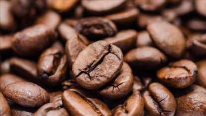 Antalya Coffee Festival yarın başlıyor!