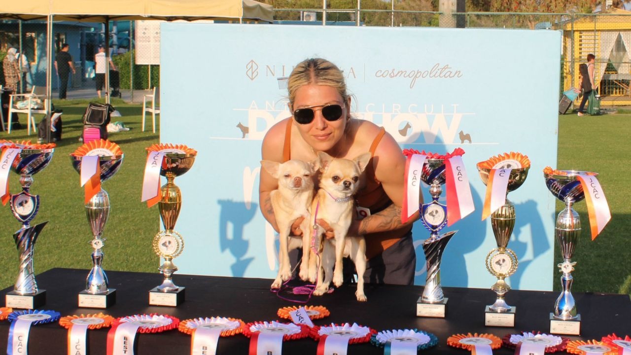 1500 köpek arasında Türkiye şampiyonu oldu