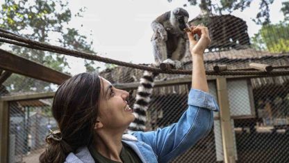 Antalya Doğal Yaşam Parkı’nda yavru lemur sevinci