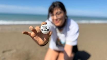 Antalya'da caretta carettalar yumurta bırakmaya başladı