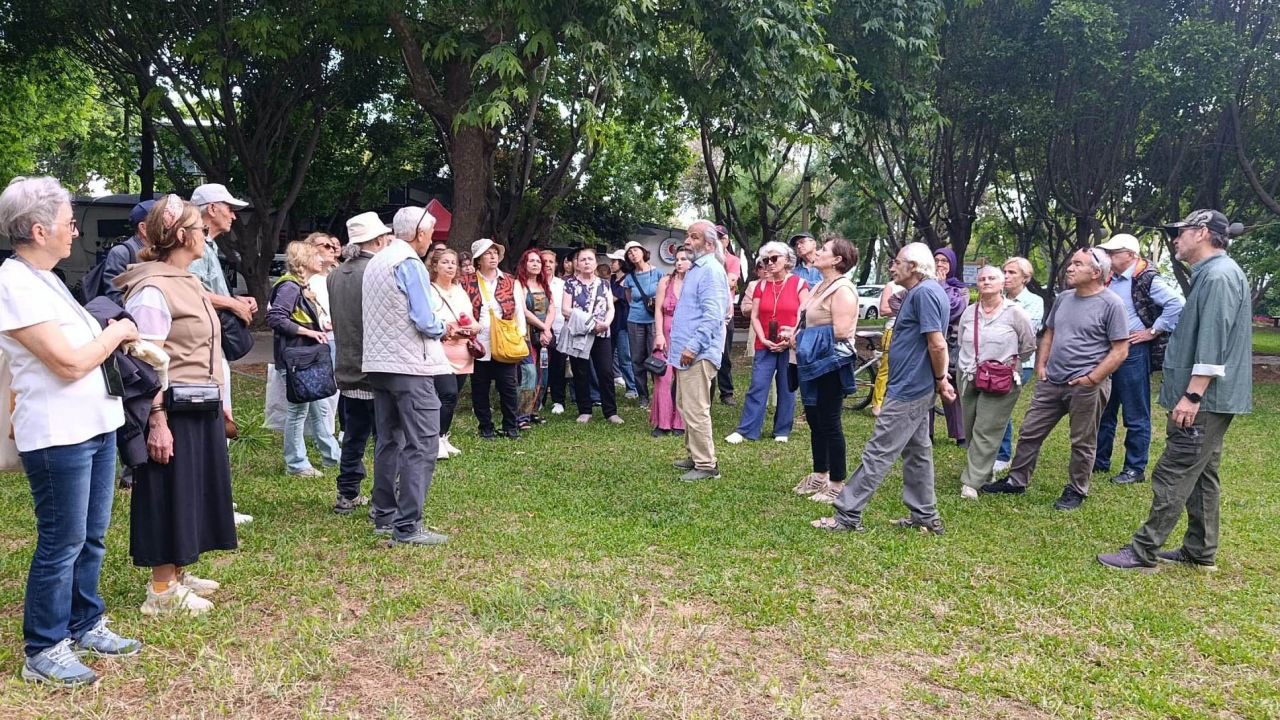 Antalya'da göçmen ağaçları