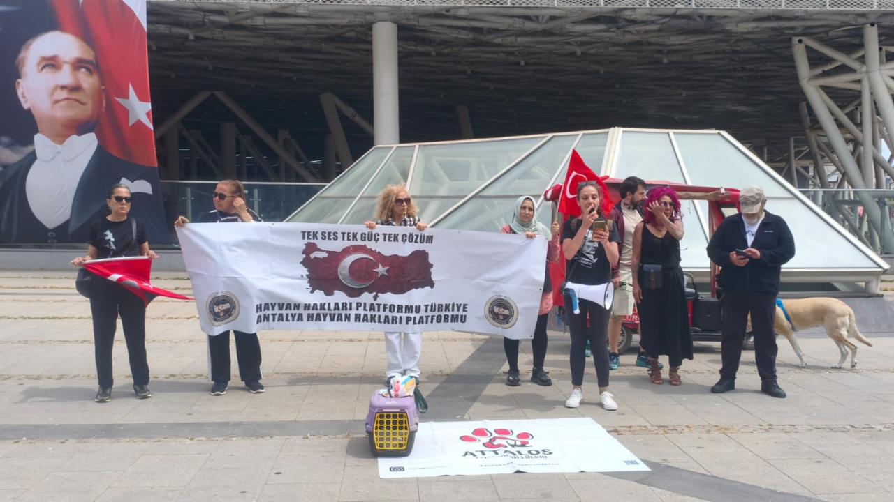 Antalya’da kuş ölümleri tepki çekti: “Ağlar ölüm tuzağına dönüştü”